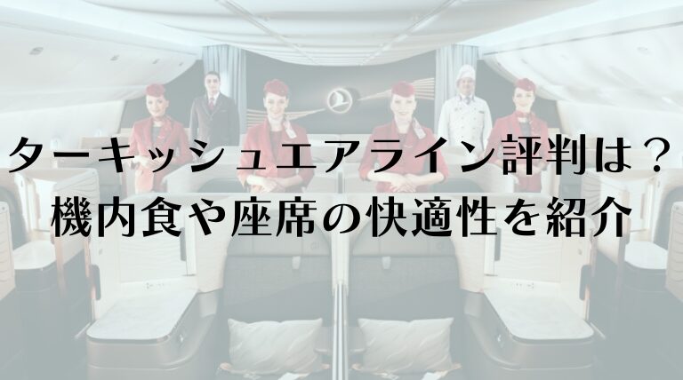 ターキッシュエアライン評判は？機内食や座席の快適性を紹介